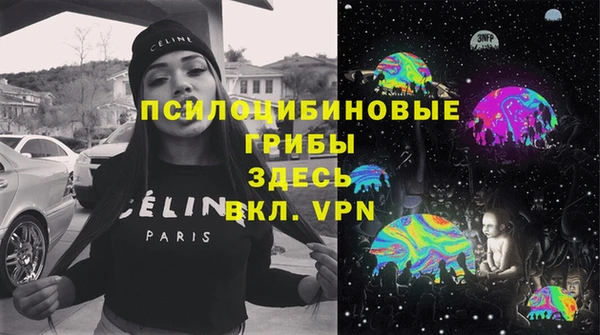 ГАЛЛЮЦИНОГЕННЫЕ ГРИБЫ Михайловка
