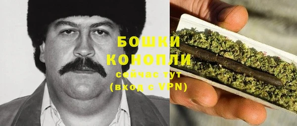 ГАЛЛЮЦИНОГЕННЫЕ ГРИБЫ Михайловка
