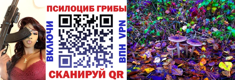 купить наркотики сайты  Омск  mega зеркало  Псилоцибиновые грибы мицелий 