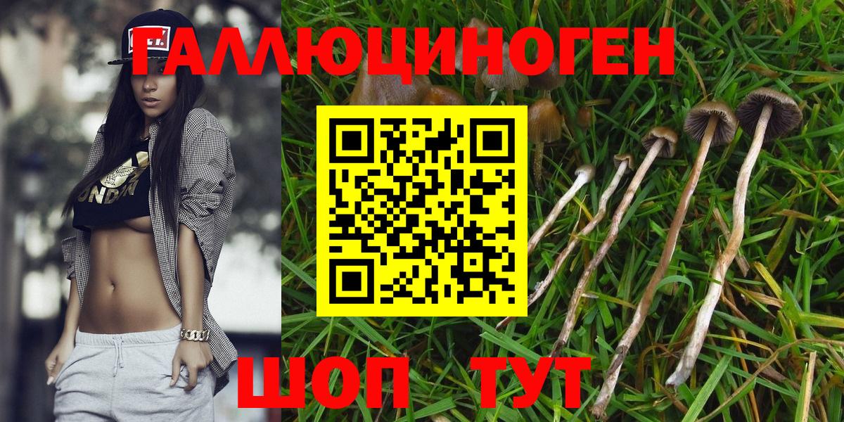 Псилоцибиновые грибы Magic Shrooms Омск
