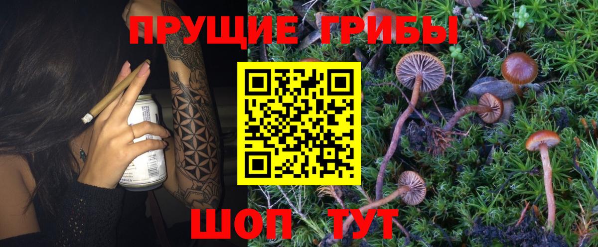 Галлюциногенные грибы Magic Shrooms  Вход с VPN  Омск 
