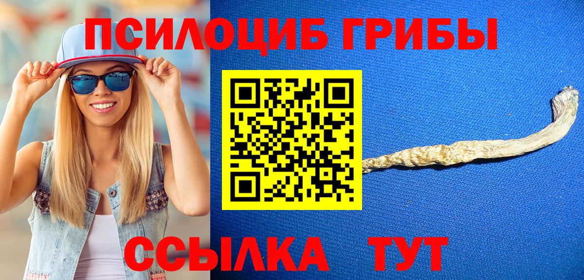 Галлюциногенные грибы Psilocybine cubensis  Вход с VPN  Галлюциногенные грибы GOLDEN TEACHER  Омск 
